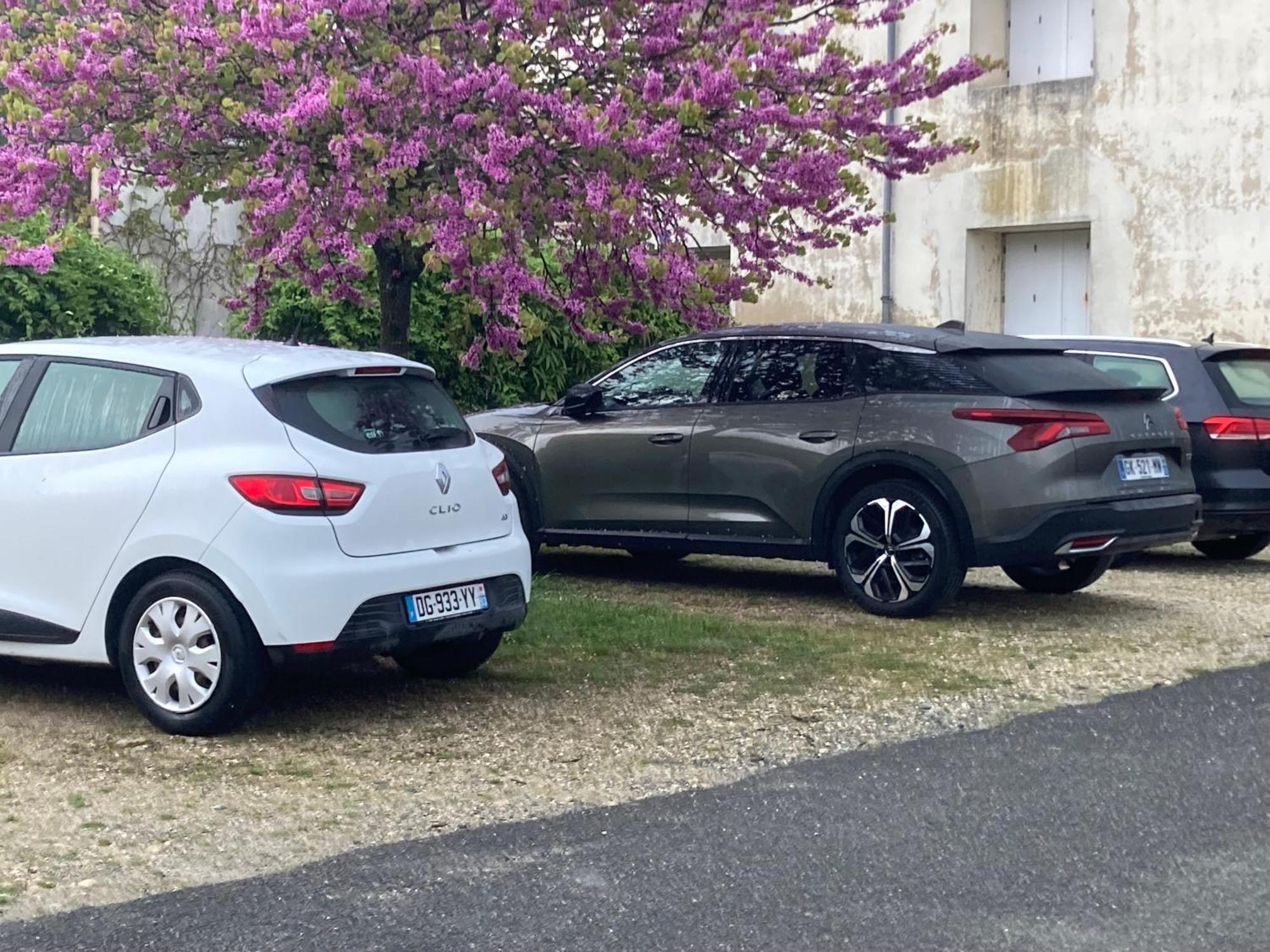 Saint-Germain-de-MarencennesCoeur De Charente Maritime, La Charentaiseアパートメント エクステリア 写真